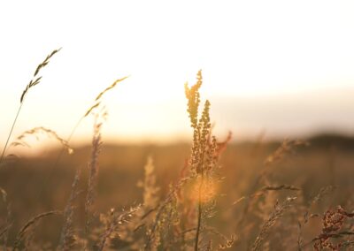 coucher-soleil-montgolfieres-nuitonnes