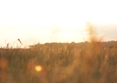 coucher-soleil-montgolfieres-nuitonnes