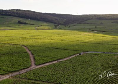 ©A.C Galdin - Les Montgolfieres Nuitonnes